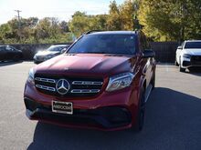2017_Mercedes-Benz_GLS_GLS 63 AMG®_ Oshkosh WI