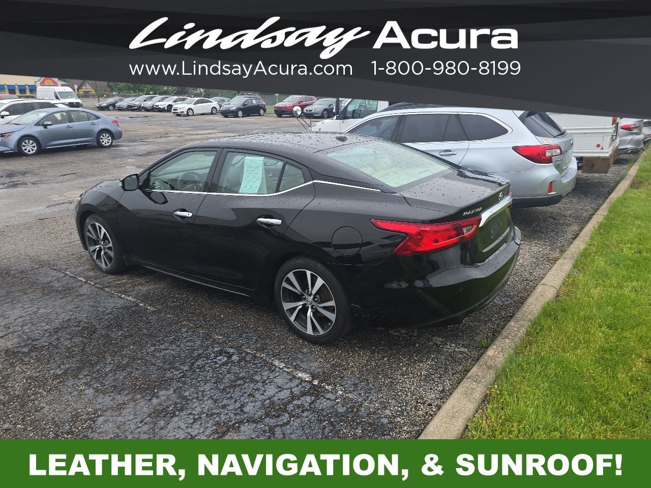 2017 Nissan Maxima Platinum Columbus OH
