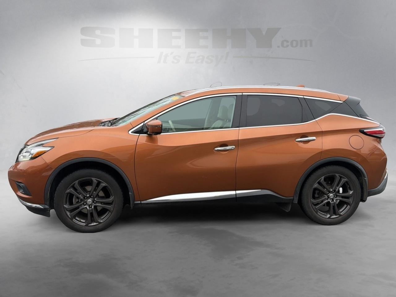 2017 Nissan Murano Platinum Ashland VA