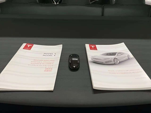 2017 Tesla Model S P100D Dallas TX