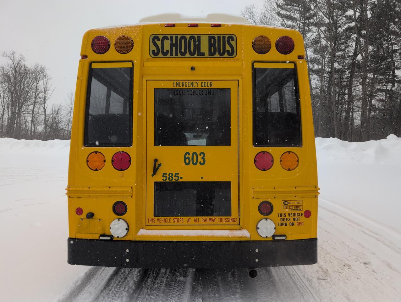 2018 Chevrolet GIRARDIN MICROBIRD