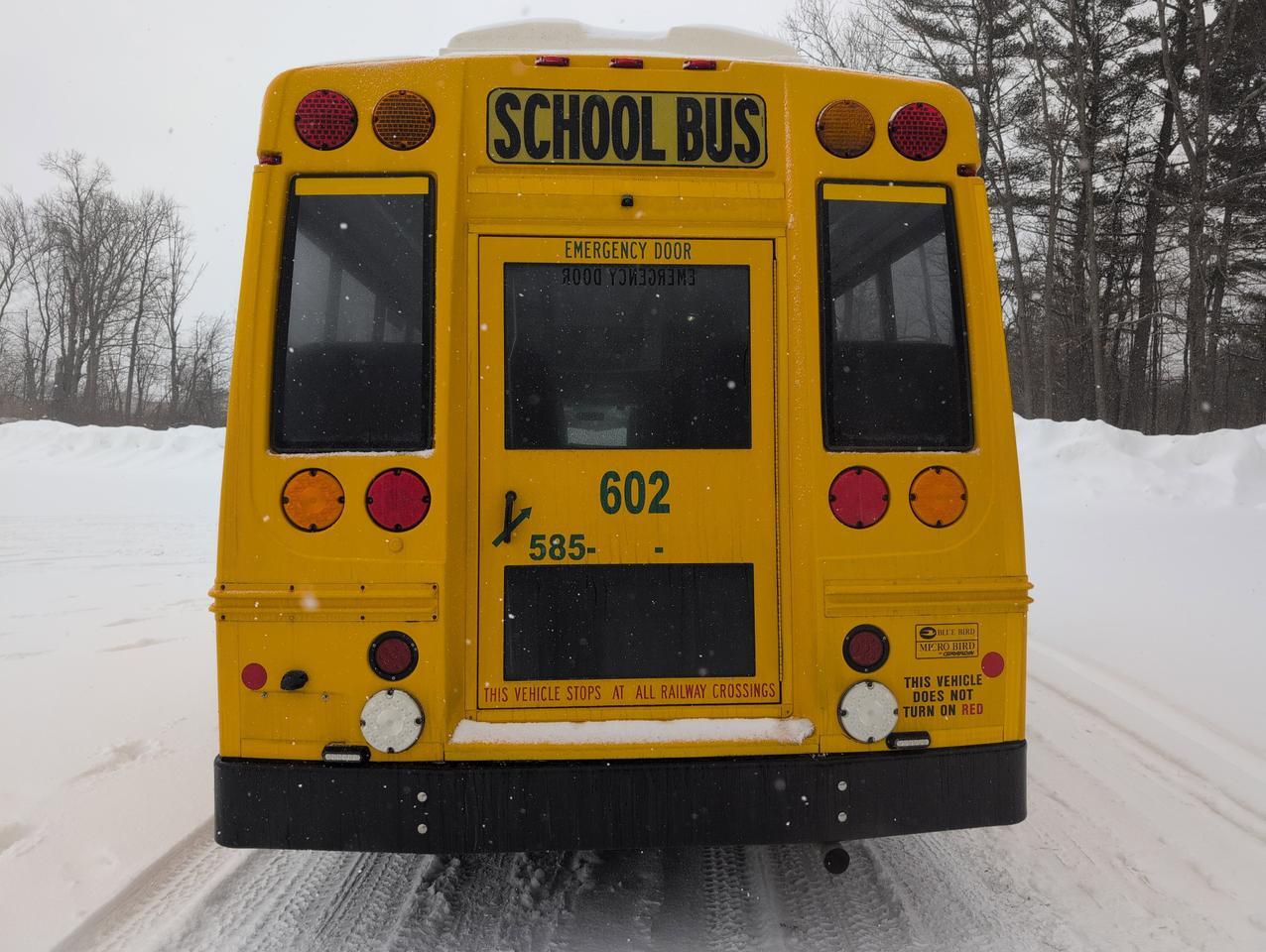 2018 Chevrolet GIRARDIN MICROBIRD