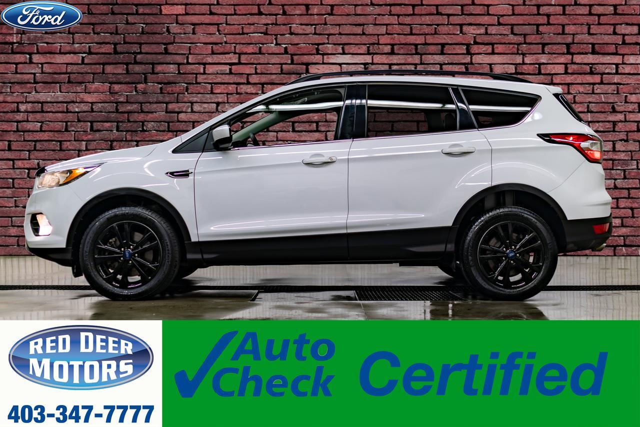 2018 Ford Escape AWD SE PSeat BCam