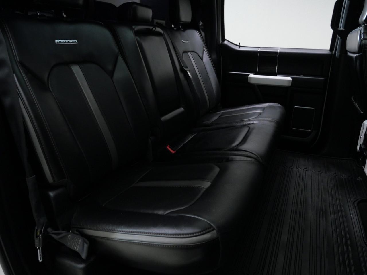 2018 Ford F-150 Platinum 3.5L EcoBoost 4x4 Mansfield TX