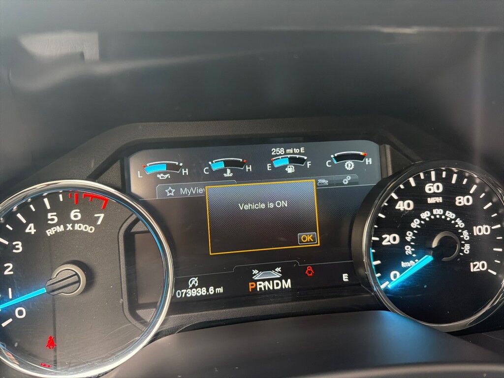 2018 Ford F-150 Platinum Owego NY