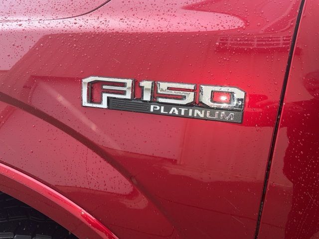 2018 Ford F-150 Platinum Watertown SD