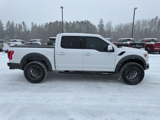 2018 Ford F-150 Raptor Pine River MN