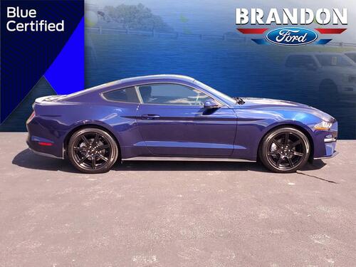 2018 Ford Mustang Tampa FL 2018 Ford Mustang Tampa FL