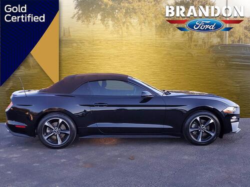 2018 Ford Mustang Tampa FL 2018 Ford Mustang Tampa FL