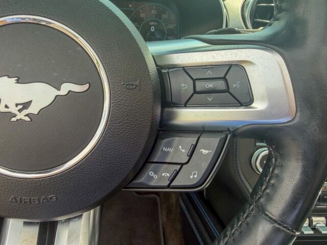 2018 Ford Mustang EcoBoost Premium Conover NC