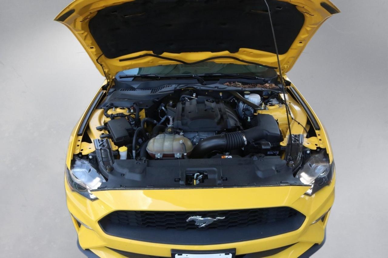 2018 Ford Mustang EcoBoost Premium Fredericksburg VA