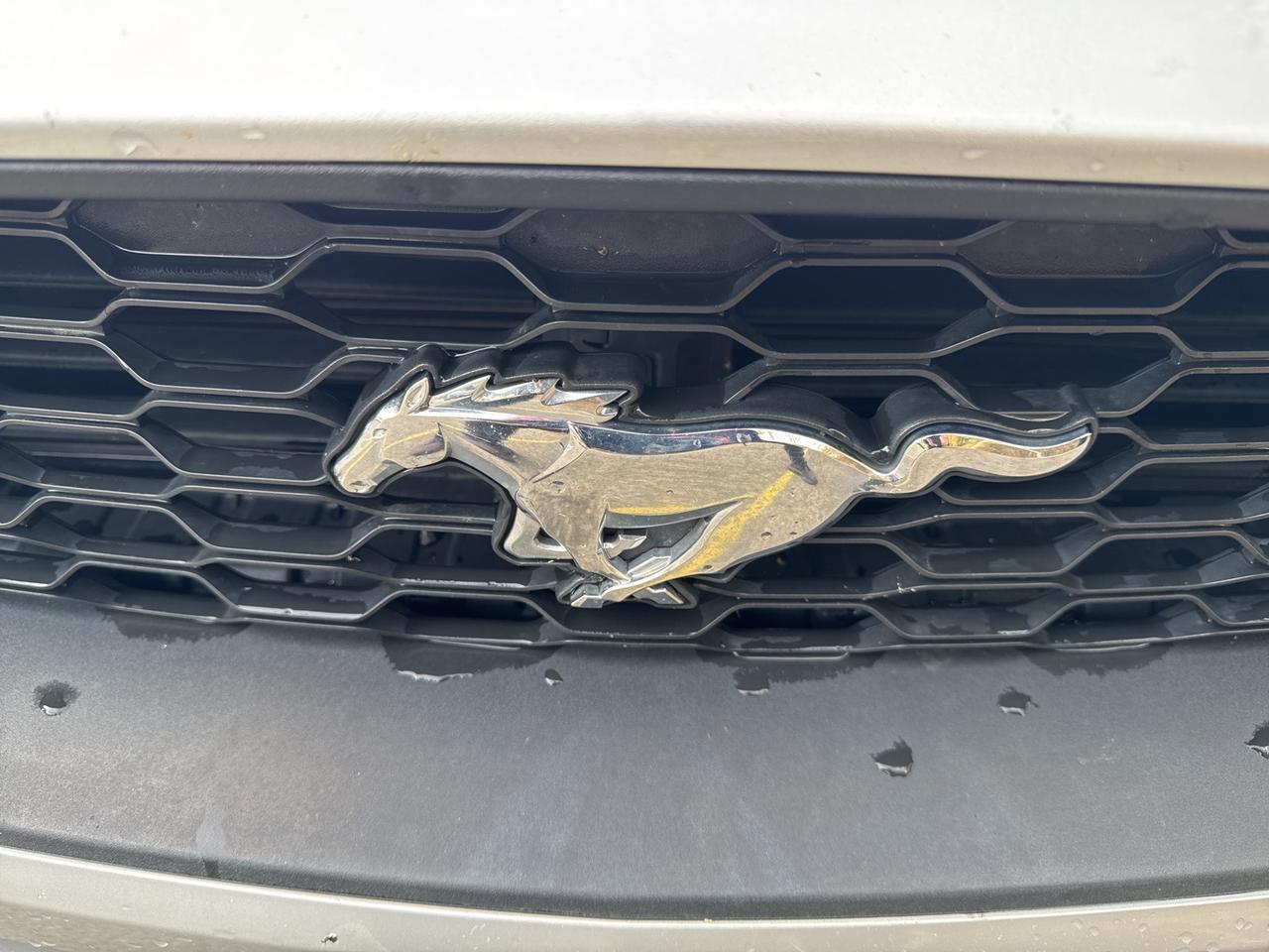 2018 Ford Mustang EcoBoost Premium Warrenton VA