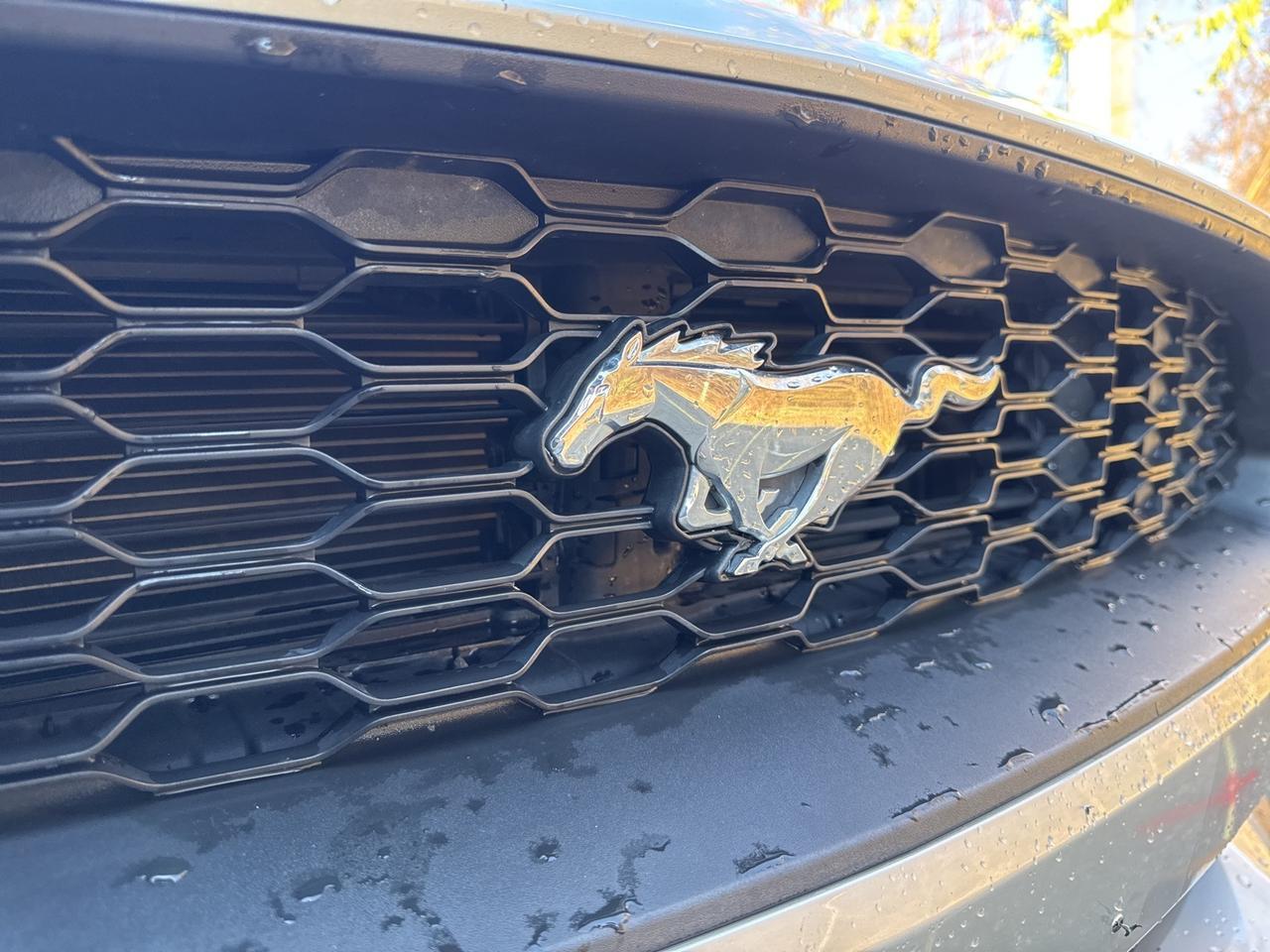 2018 Ford Mustang EcoBoost Premium Warrenton VA