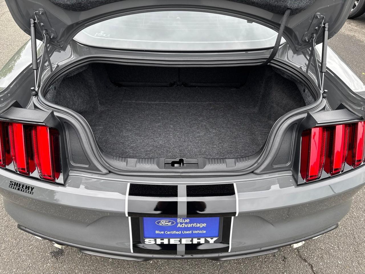 2018 Ford Mustang Shelby GT350 Warrenton VA