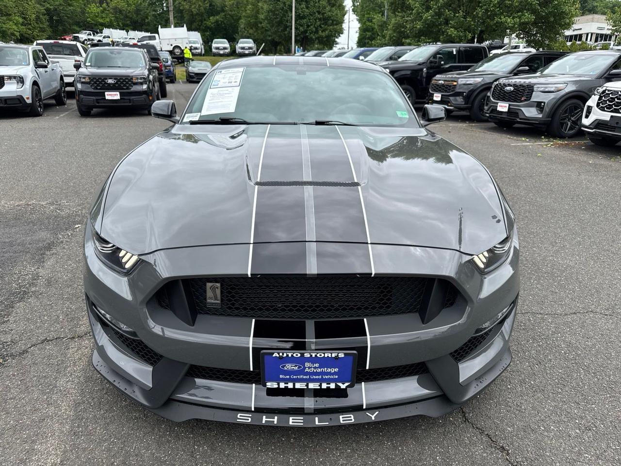 2018 Ford Mustang Shelby GT350 Warrenton VA