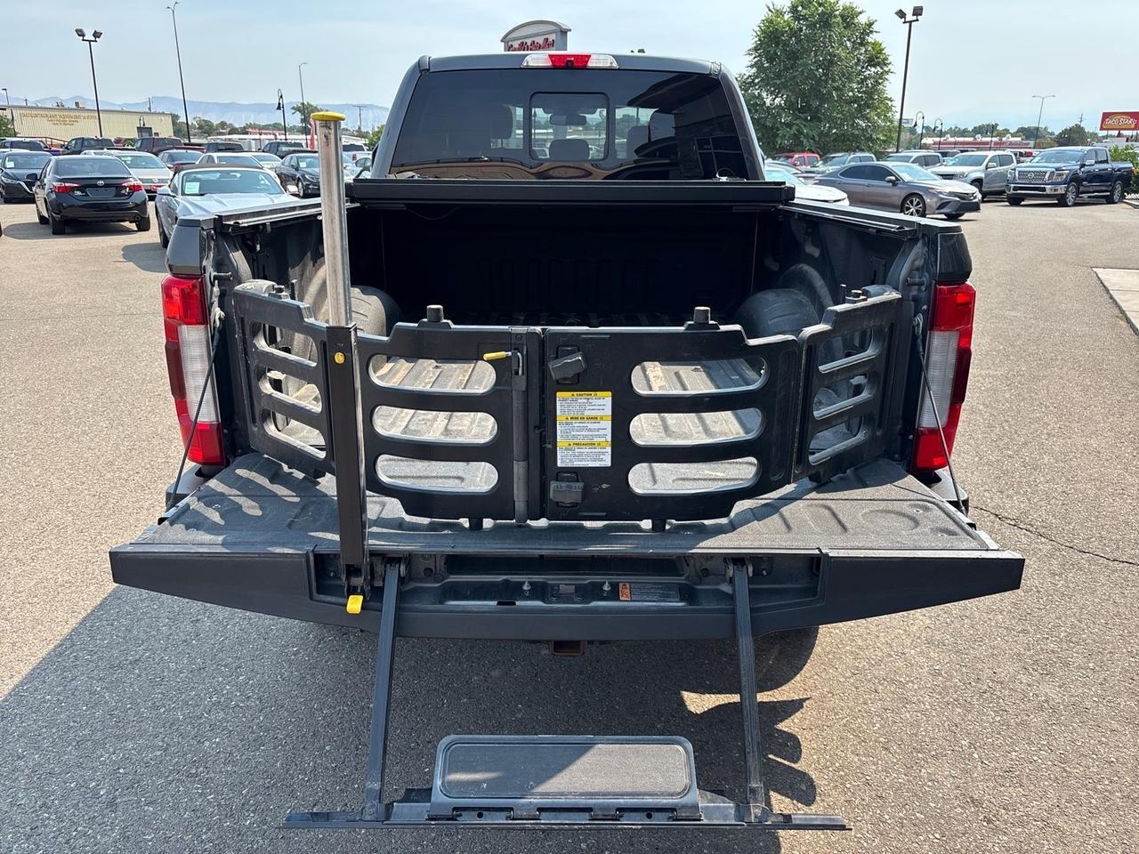 2018 Ford Super Duty F-250 SRW Platinum Grand Junction CO