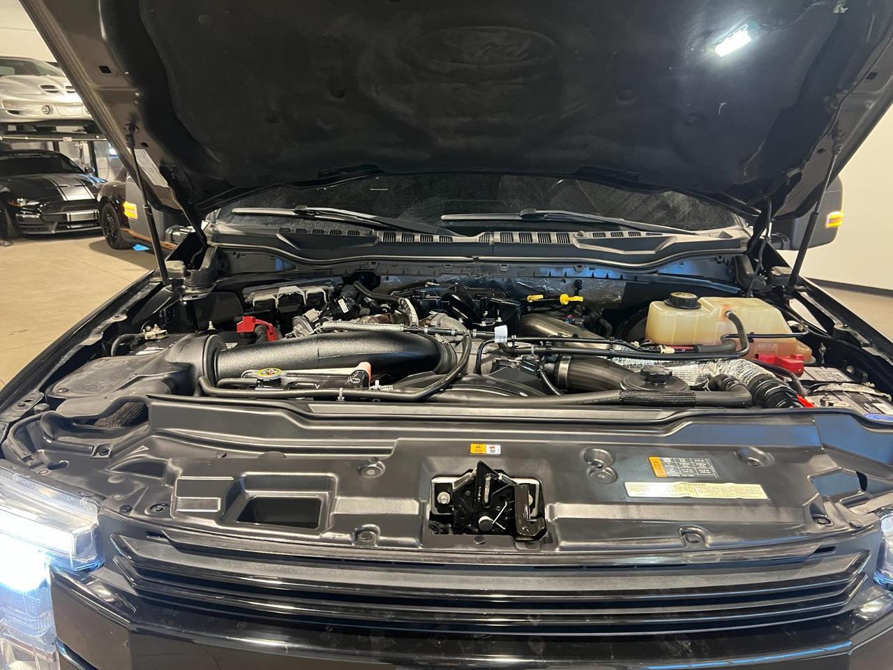 2018 Ford Super Duty F-250 SRW Platinum Parker CO