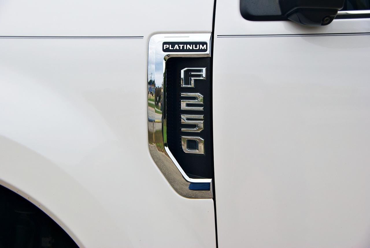 2018 Ford Super Duty F-250 SRW Platinum Spring Branch TX