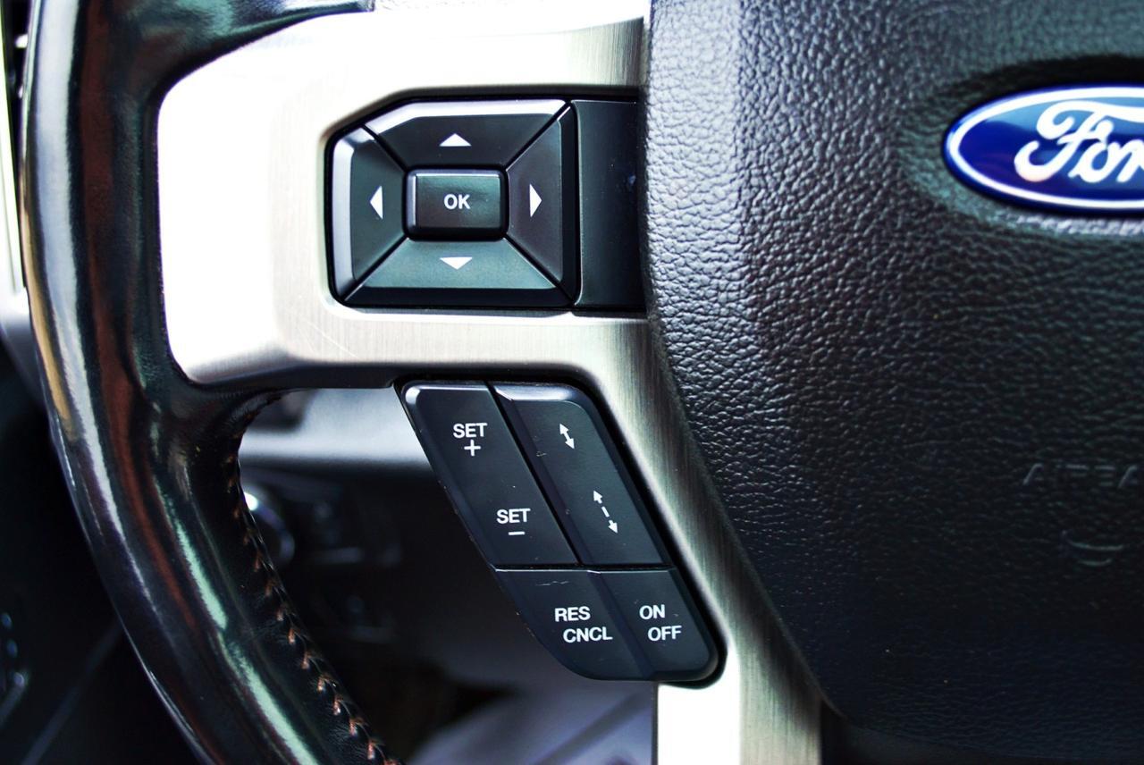 2018 Ford Super Duty F-250 SRW Platinum Spring Branch TX