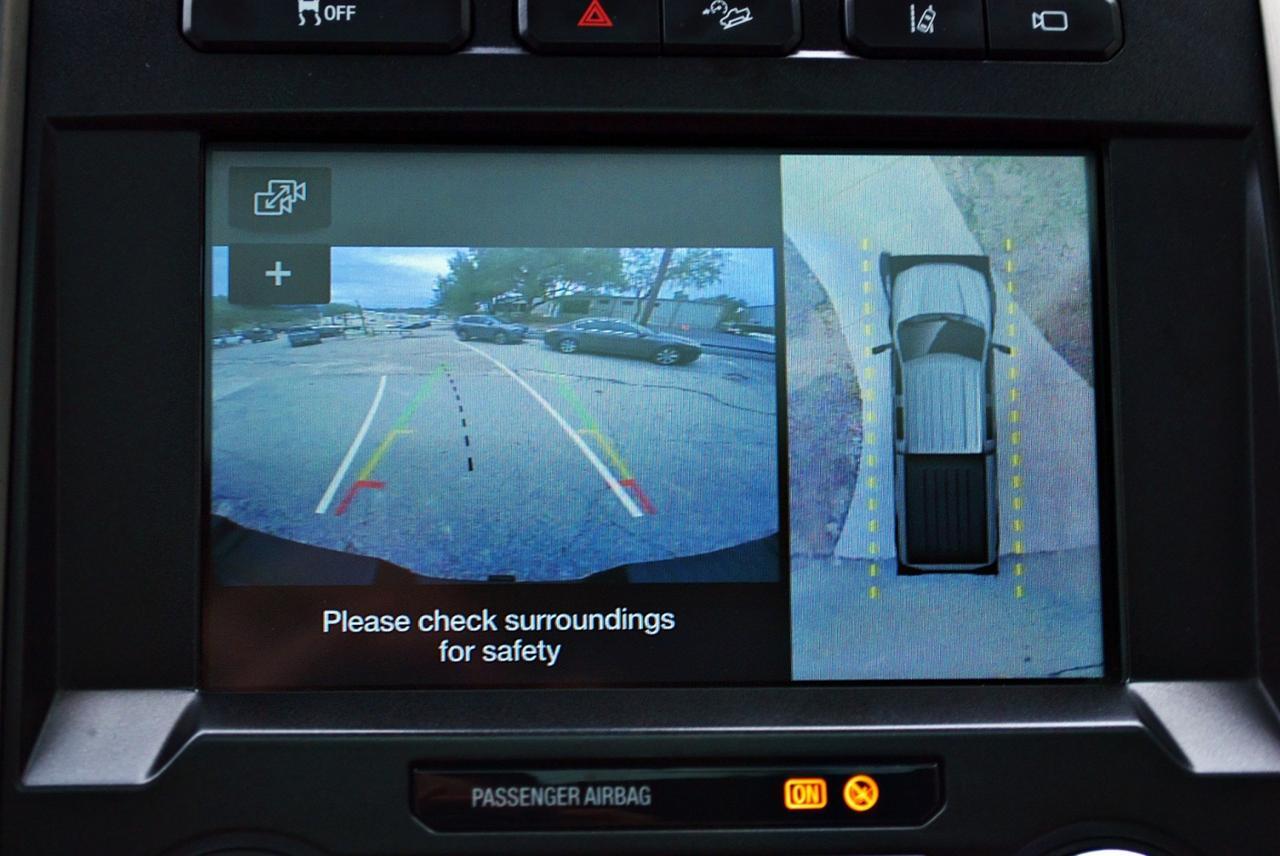 2018 Ford Super Duty F-250 SRW Platinum Spring Branch TX