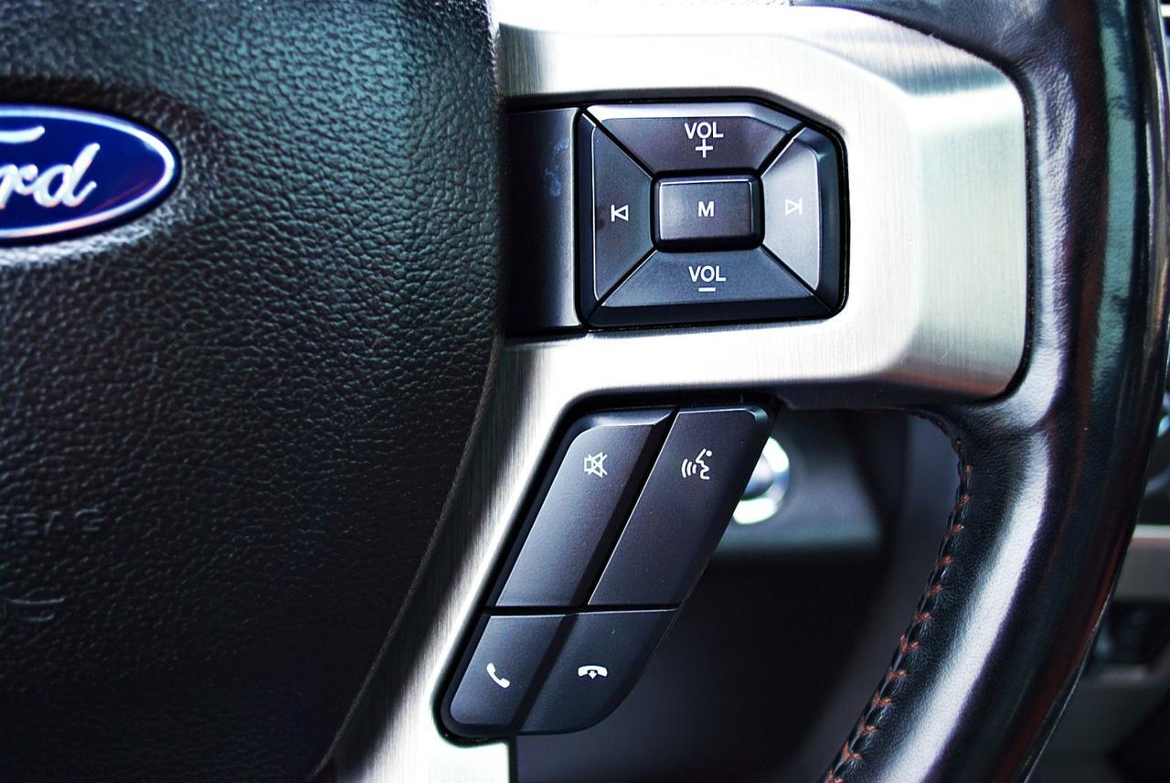 2018 Ford Super Duty F-250 SRW Platinum Spring Branch TX