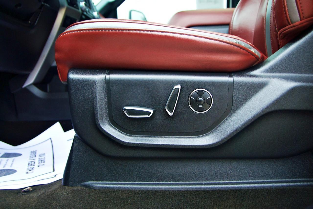 2018 Ford Super Duty F-250 SRW Platinum Spring Branch TX