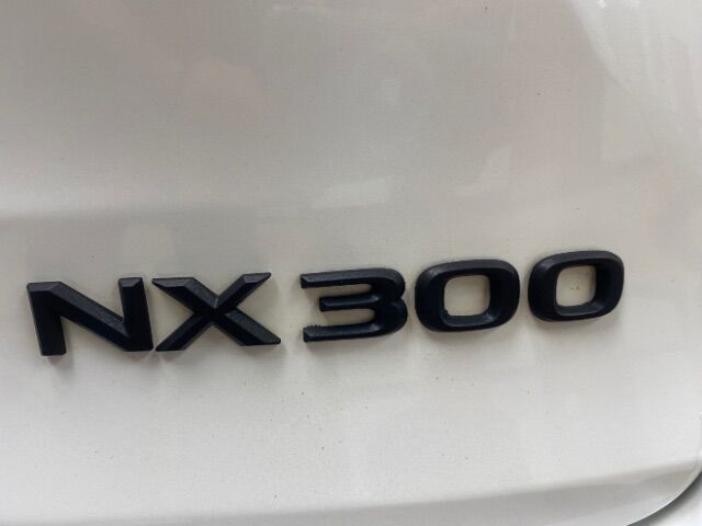 2018 Lexus NX 300 F Sport Charlotte NC