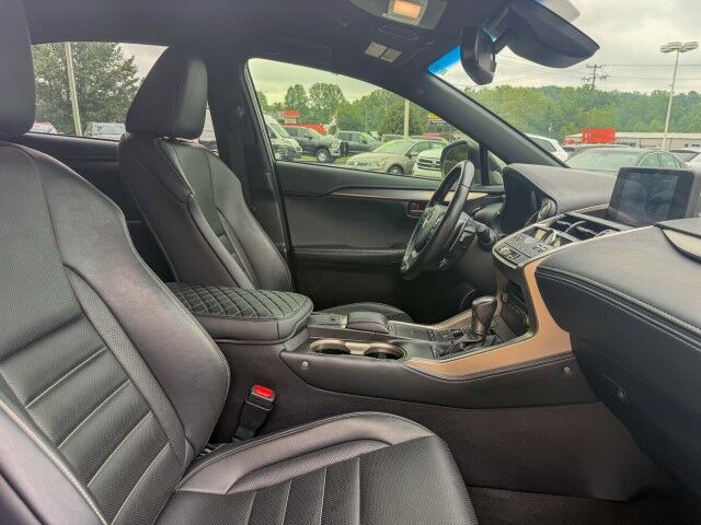 2018 Lexus NX 300 F Sport Conover NC