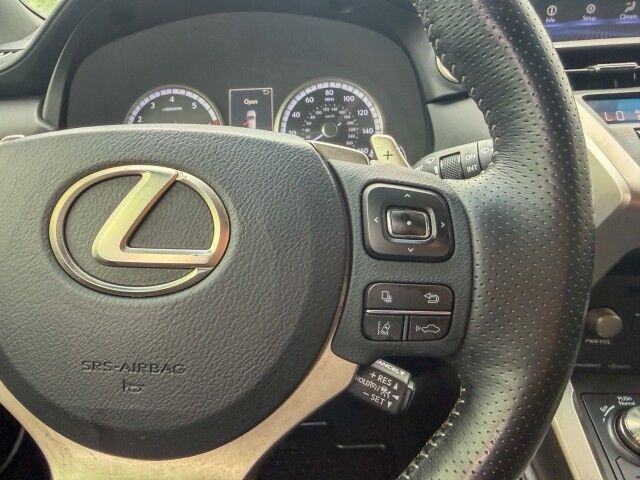 2018 Lexus NX 300 F Sport Conover NC