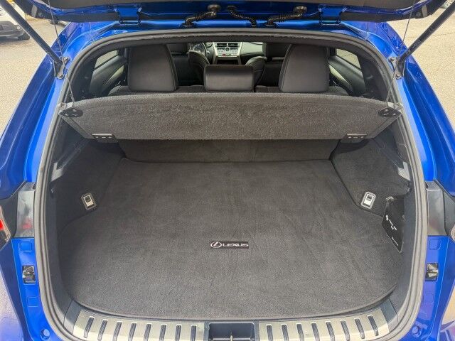 2018 Lexus NX 300 F Sport Conover NC