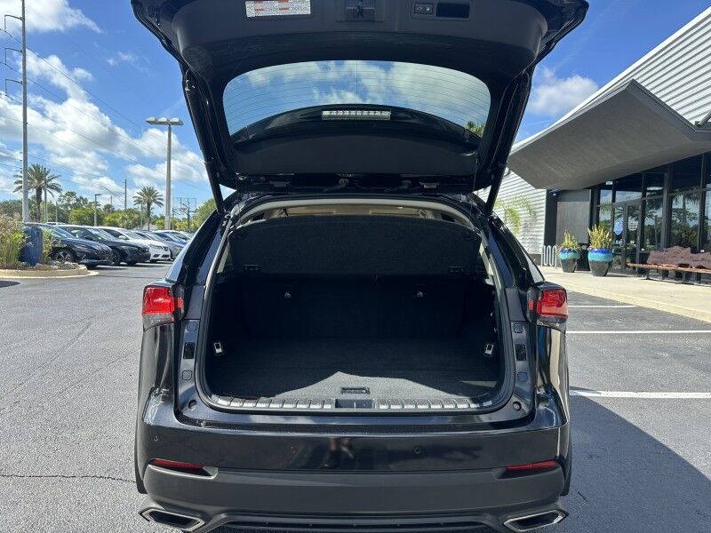 2018 Lexus NX 300 F Sport Jacksonville FL