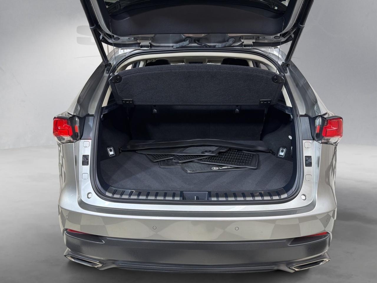 2018 Lexus NX 300 LUXURY Annapolis MD