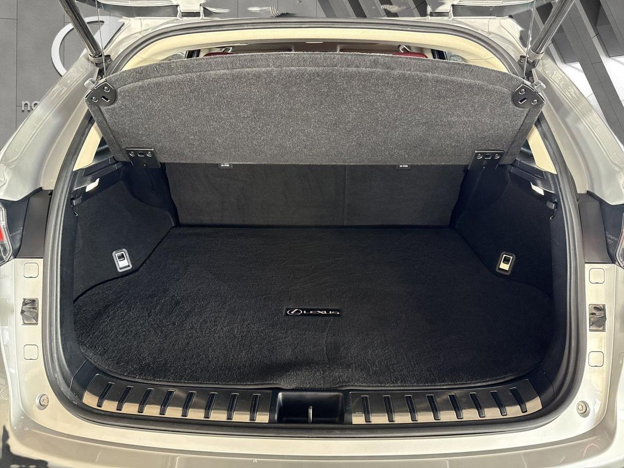 2018 Lexus NX 300 San Antonio TX