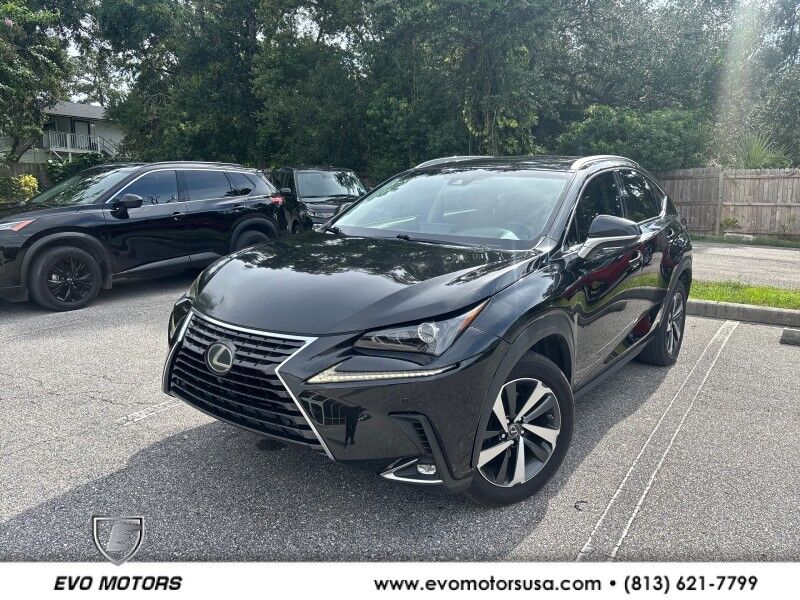 2018 Lexus NX 300 Seffner FL