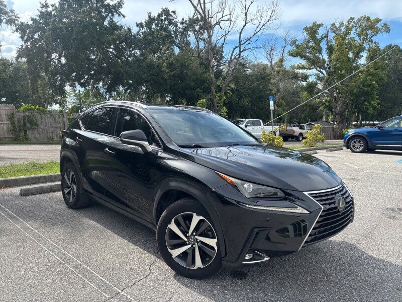 2018 Lexus NX 300 Seffner FL