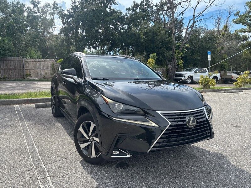 2018 Lexus NX 300 Seffner FL