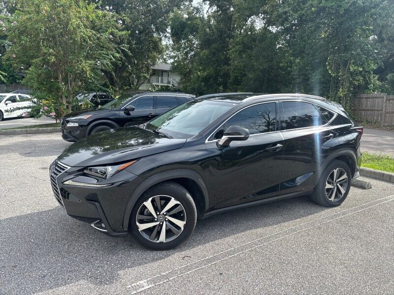 2018 Lexus NX 300 Seffner FL