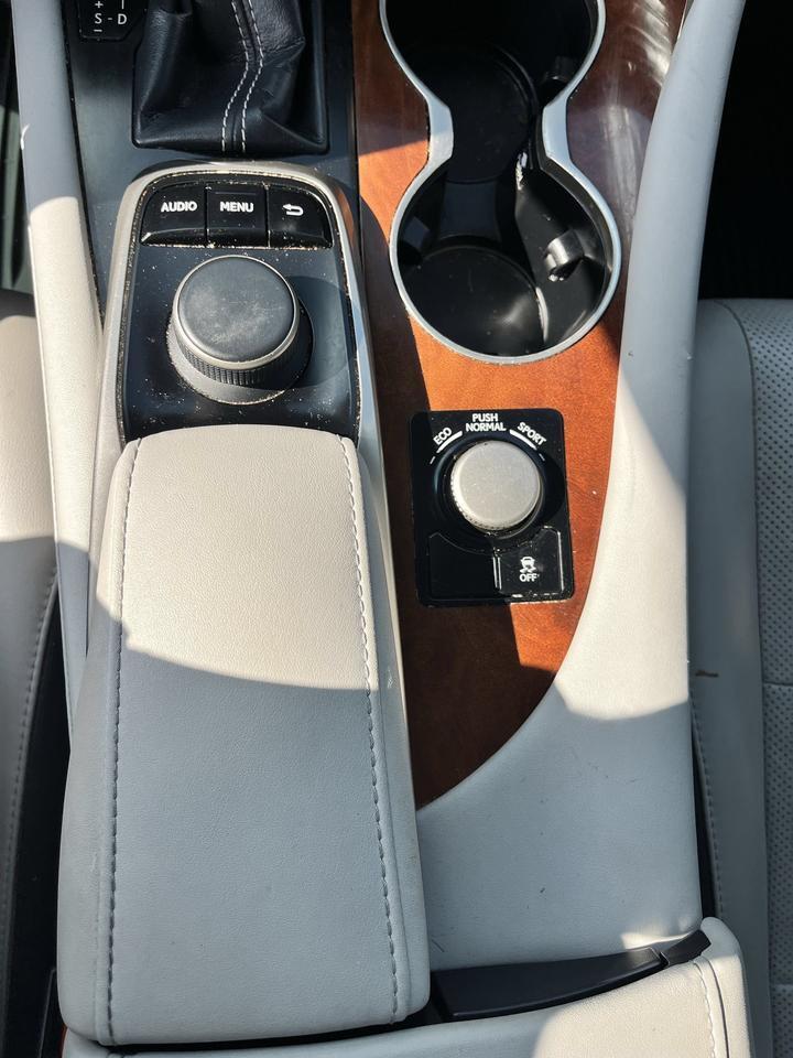 2018 Lexus RX Castroville TX