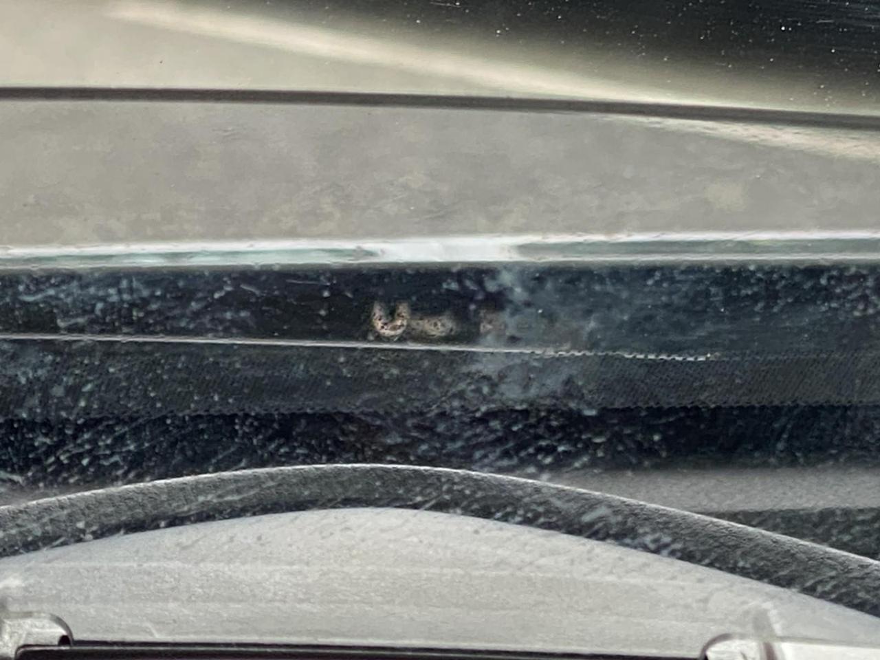 2018 Mazda CX-3 Grand Touring Richmond Hill NY