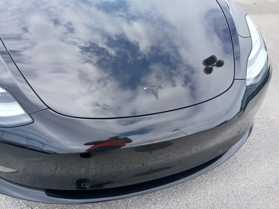 2018 Tesla Model 3 Long Range Sedan 4D Maitland FL