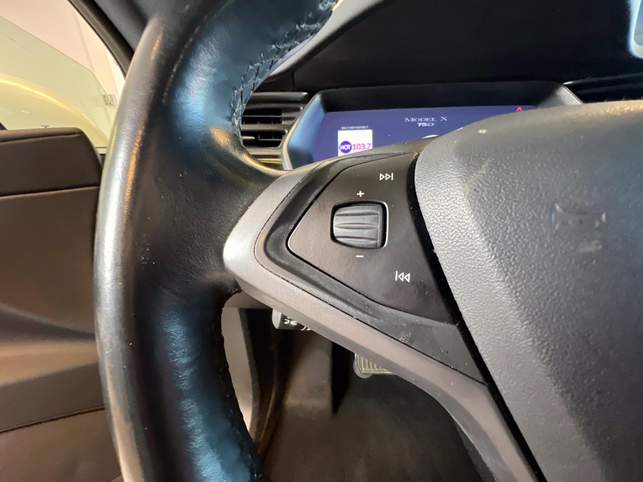 2018 Tesla Model X P100D Richmond VA