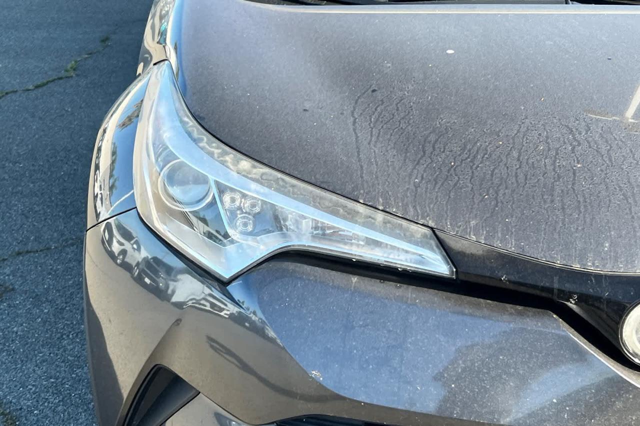 2018 Toyota C-HR XLE Premium Roseville CA