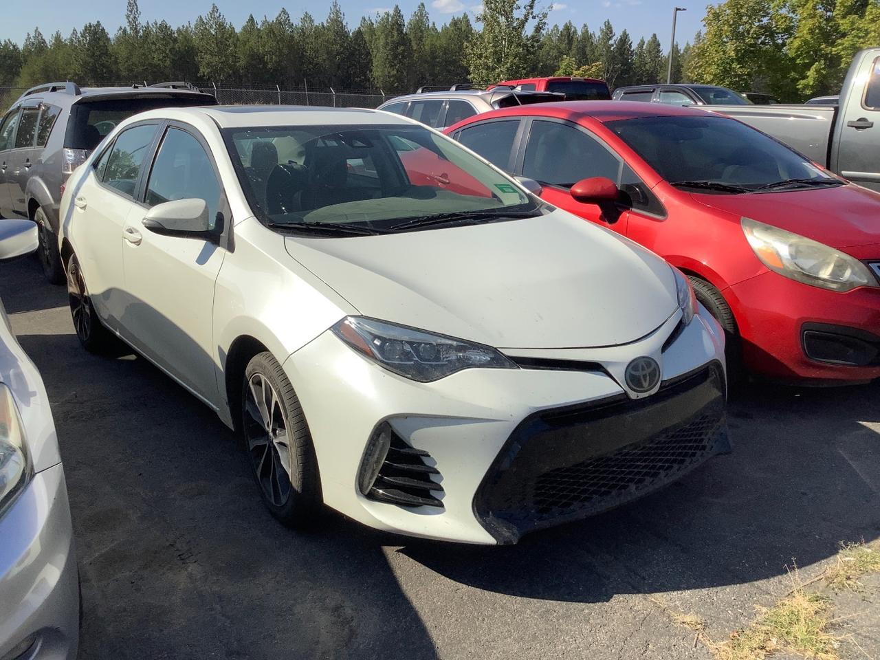 2018 Toyota Corolla L | LE | XLE | SE | XSE Hayden ID