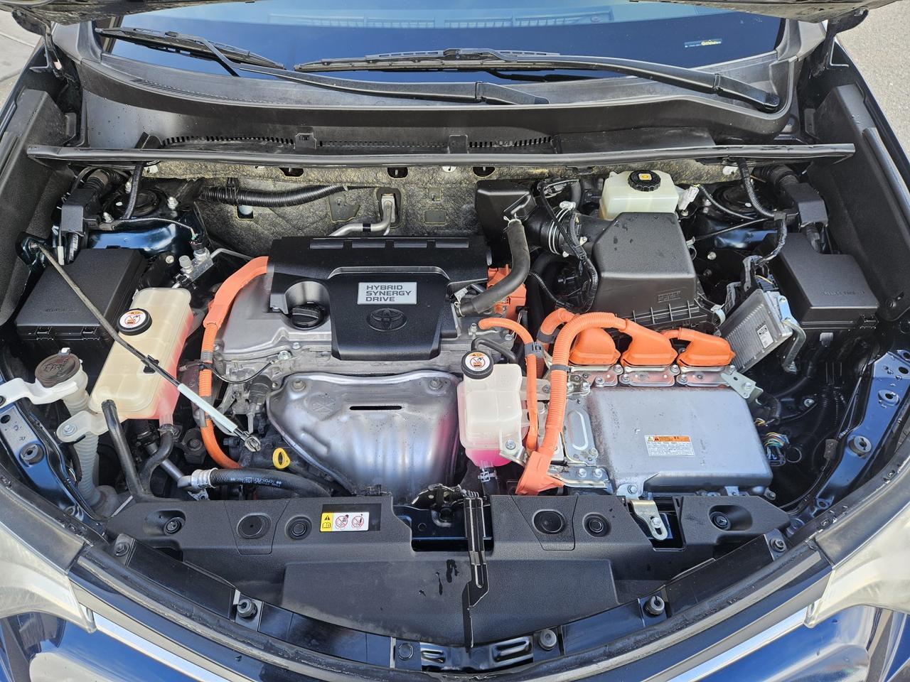 2018 Toyota RAV4 Hybrid XLE Grand Junction CO