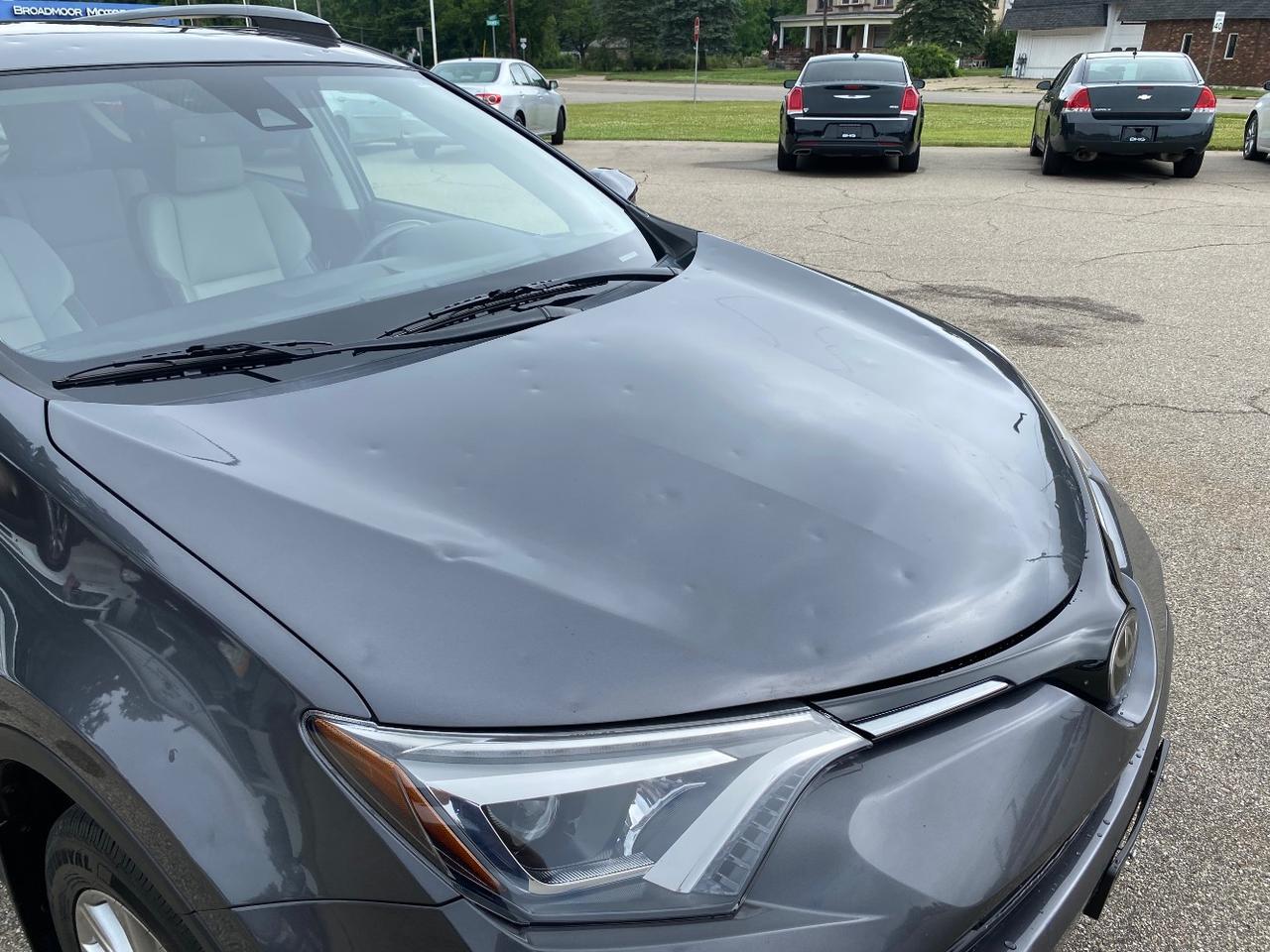 2018 Toyota RAV4 Limited AWD Hastings MI