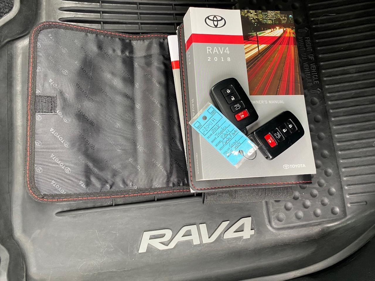2018 Toyota RAV4 Limited AWD Hastings MI