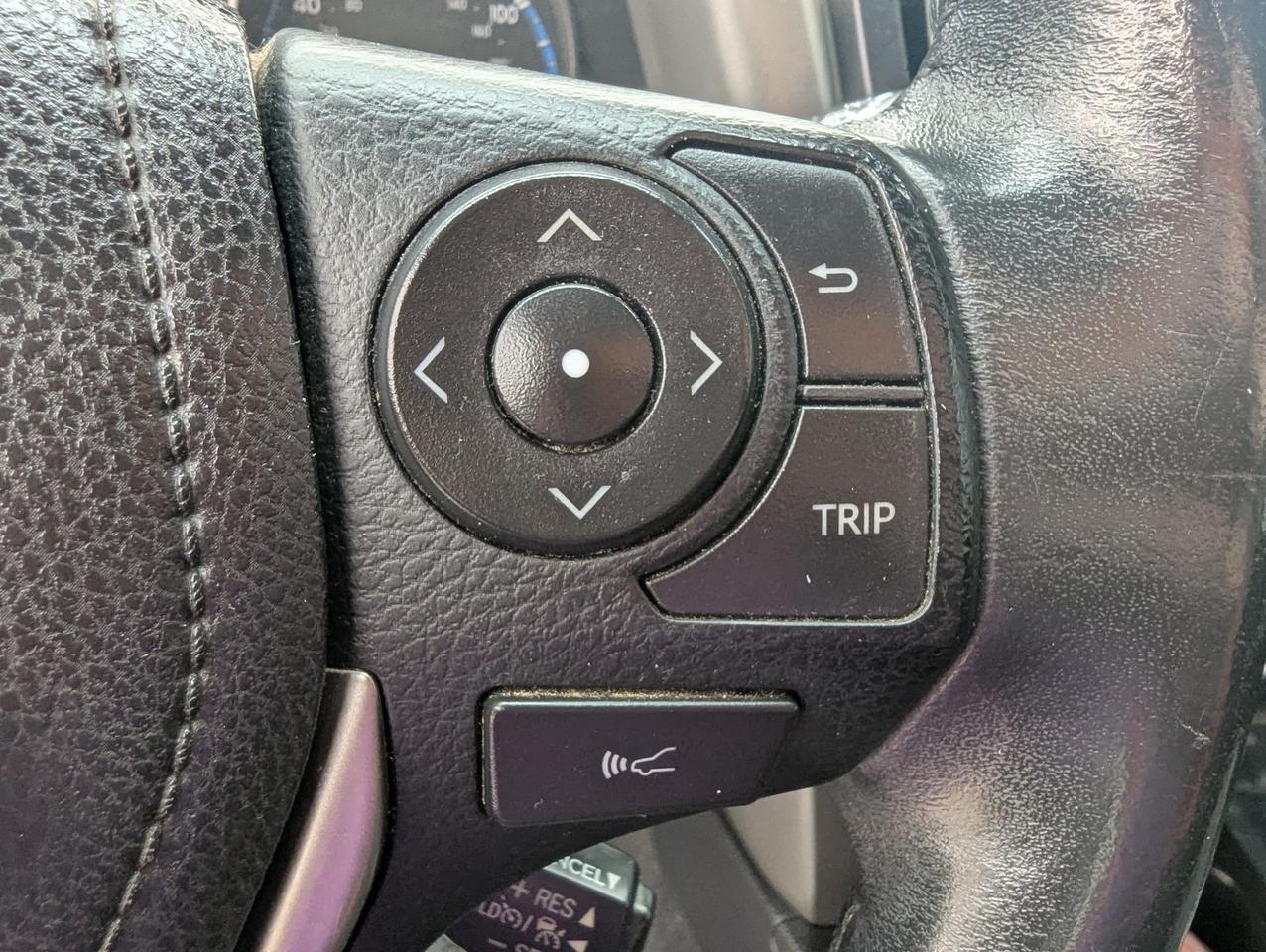 2018 Toyota RAV4 XLE Grand Junction CO