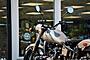 2018 Ural M70 OD Green Boston MA