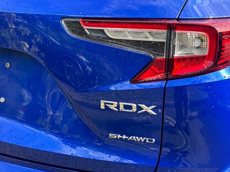 2019 Acura RDX AWD w/A-Spec Pkg Seffner FL