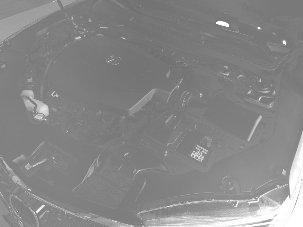 2019 Acura TLX Springfield NJ